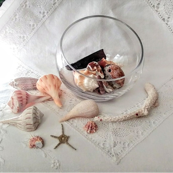 Other - Slant Bowl Shells Sea Glass Terrarium Decorative